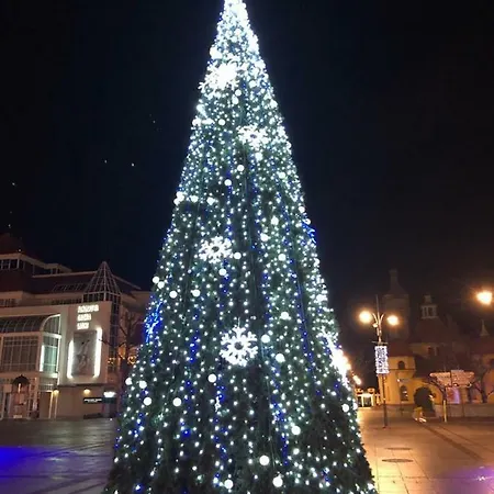 Blue Boat * 소포트